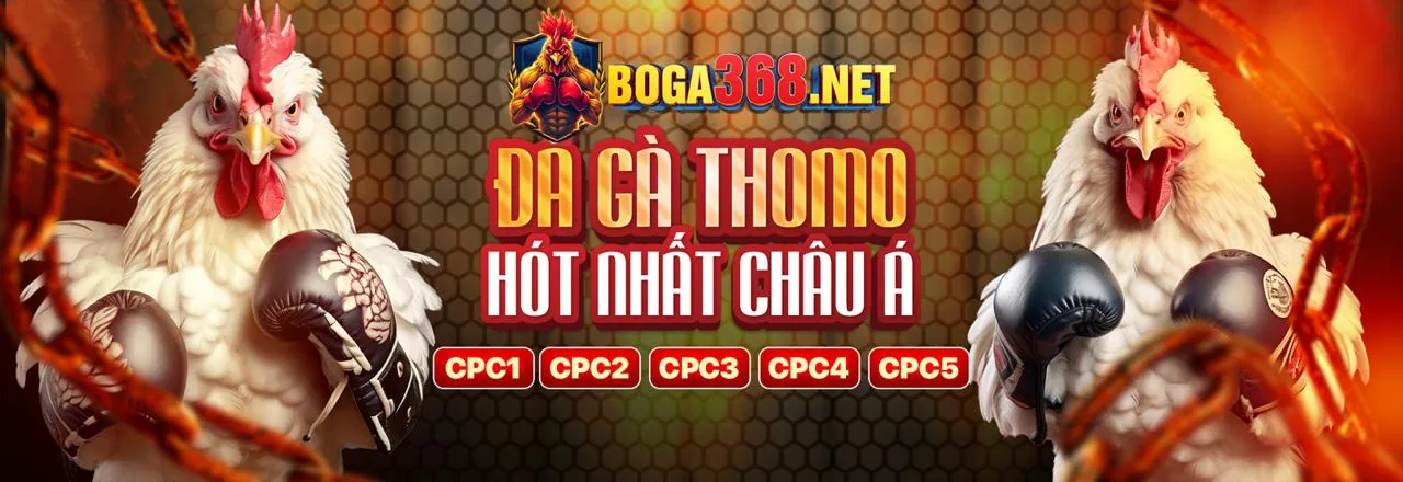 Sân đá gà Thomo trực tuyến đỉnh cao