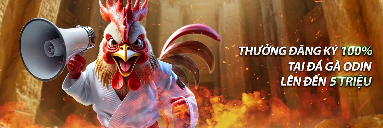 Hình ảnh giới thiệu về trang cá cược đá gà Thomo